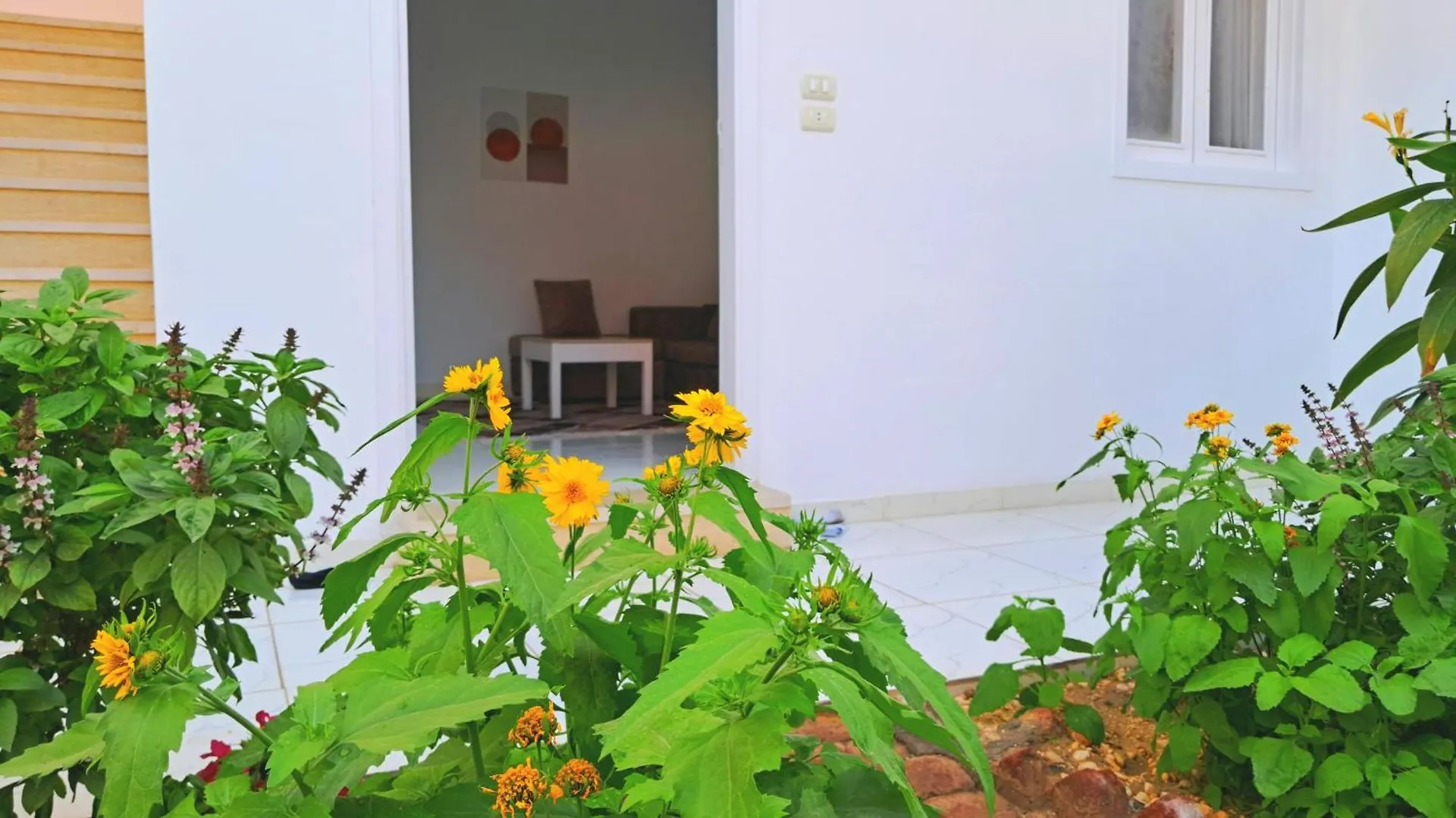 White Jurf Apartments Luxor Egypt
